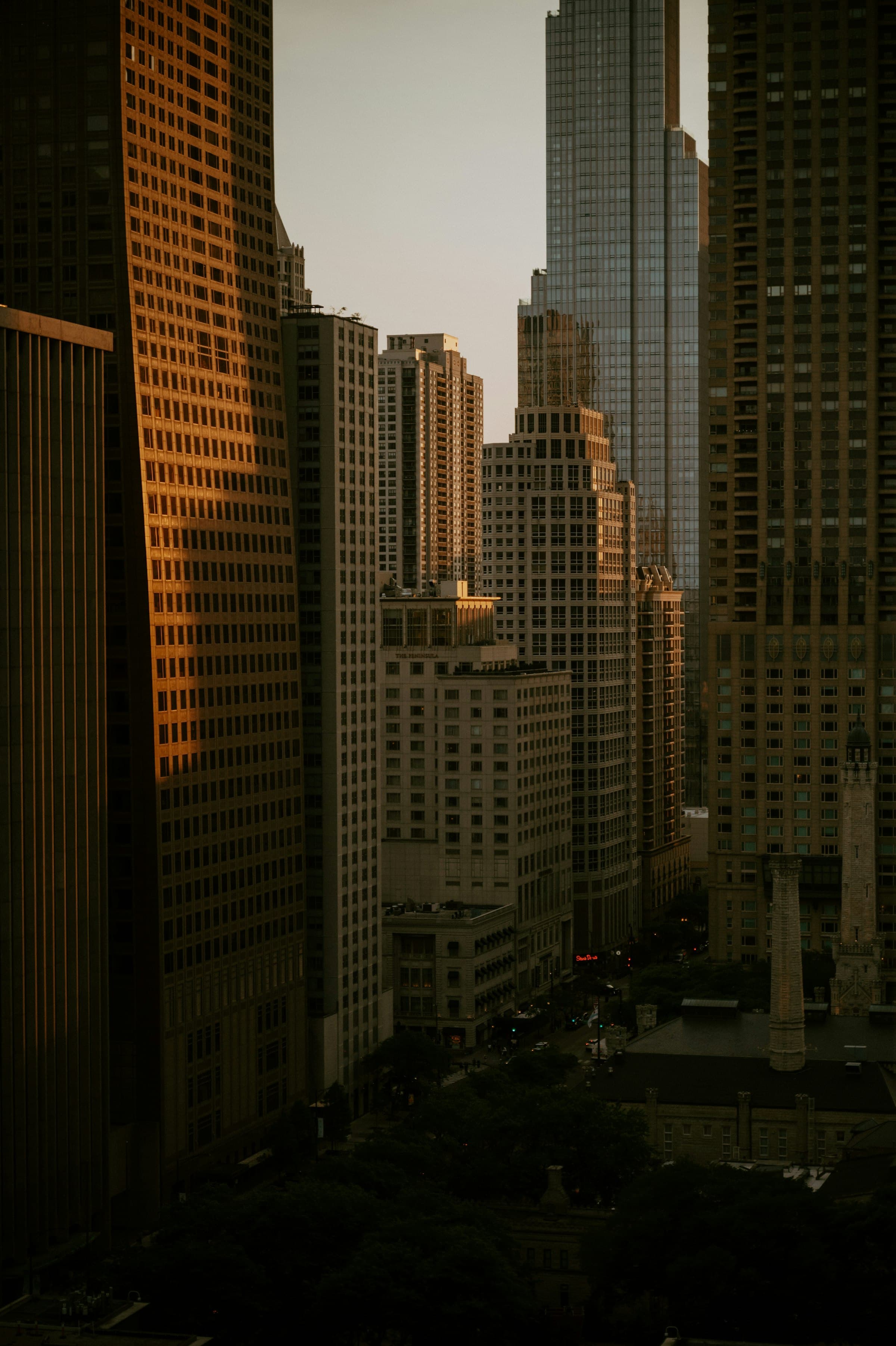 Commercial towers catching the last warm light of the day